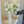 Bride's Bouquet Timeless White Romance