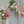 Blush Pink FLORAL Stands Rental