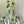 Pillar Style Faux Flower For Rental Garden White