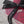Mother's Day Red Veil Preserved Flowers - 2026 어버이날 레드 베일 프리저브드 플라워