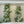 Fresh Garden